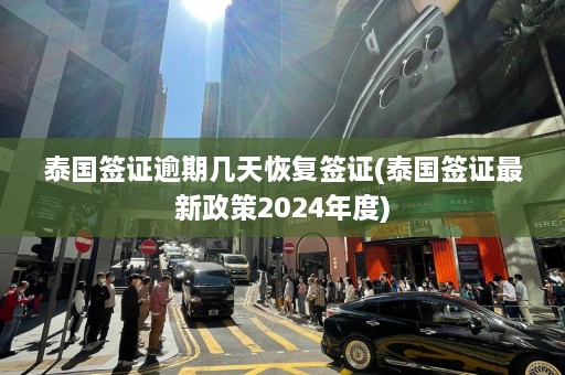 泰国签证逾期几天恢复签证(泰国签证最新政策2024年度)