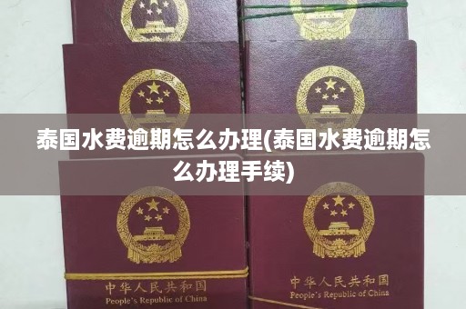 泰国水费逾期怎么办理(泰国水费逾期怎么办理手续)  第1张