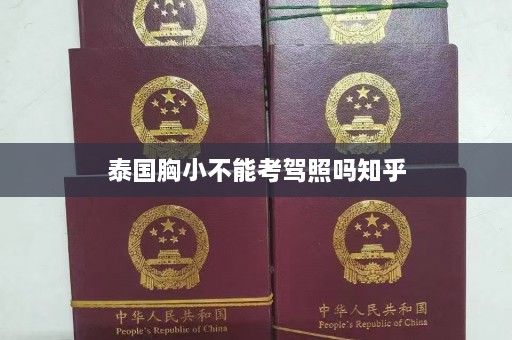 泰国胸小不能考驾照吗知乎