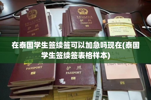 在泰国学生签续签可以加急吗现在(泰国学生签续签表格样本)