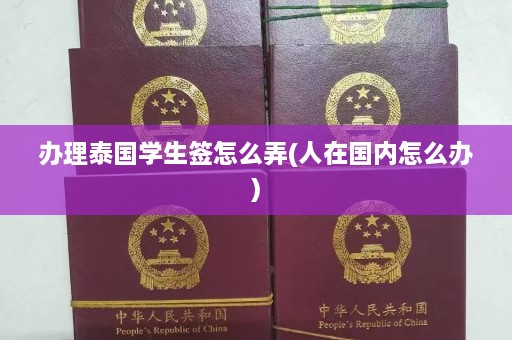 办理泰国学生签怎么弄(人在国内怎么办)  第1张