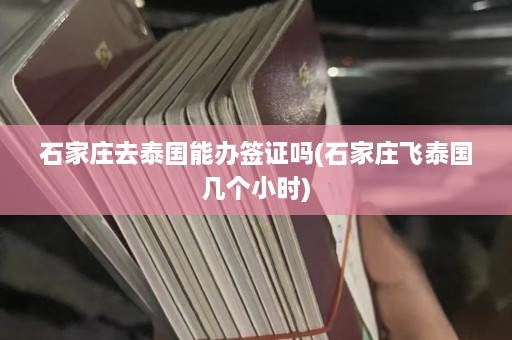 石家庄去泰国能办签证吗(石家庄飞泰国几个小时)  第1张