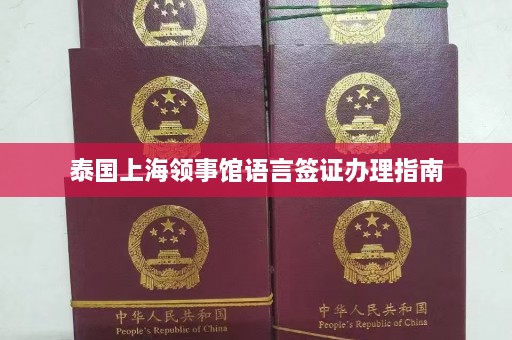 泰国上海领事馆语言签证办理指南