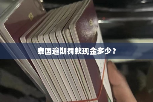 泰国逾期罚款现金多少？  第1张