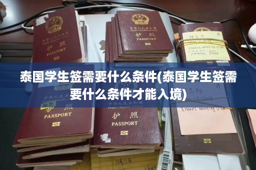 泰国学生签需要什么条件(泰国学生签需要什么条件才能入境)  第1张