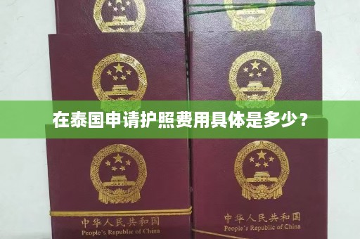 在泰国申请护照费用具体是多少？  第1张