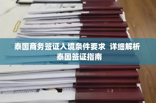 泰国商务签证入境条件要求  详细解析  泰国签证指南