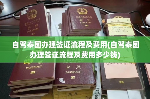 自驾泰国办理签证流程及费用(自驾泰国办理签证流程及费用多少钱)  第1张