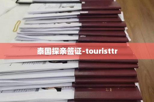 泰国探亲签证-touristtr  第1张