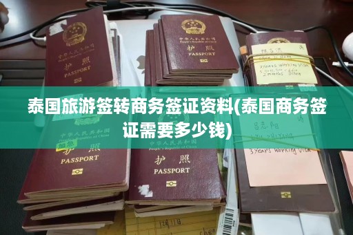 泰国旅游签转商务签证资料(泰国商务签证需要多少钱)  第1张