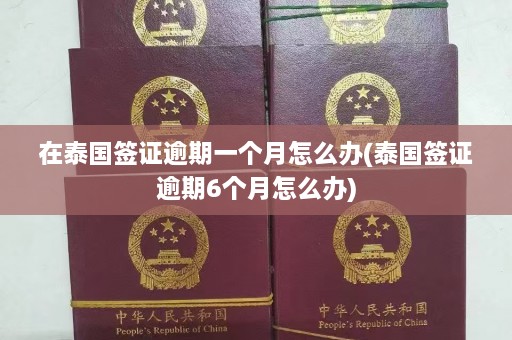 在泰国签证逾期一个月怎么办(泰国签证逾期6个月怎么办)  第1张