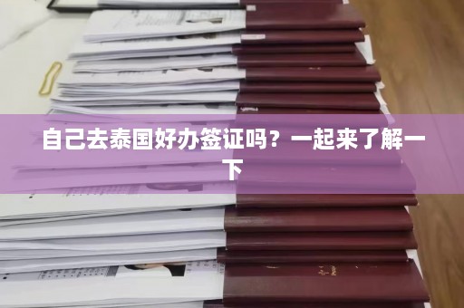 自己去泰国好办签证吗？一起来了解一下  第1张