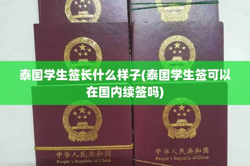 泰国学生签长什么样子(泰国学生签可以在国内续签吗)  第1张