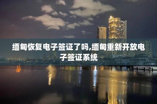  *** 恢复电子签证了吗, *** 重新开放电子签证系统  第1张