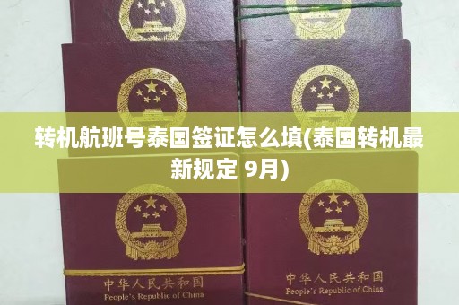 转机航班号泰国签证怎么填(泰国转机最新规定 9月)