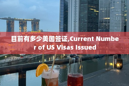 目前有多少美国签证,Current Number of US Visas Issued  第1张