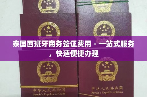 泰国西班牙商务签证费用 - 一站式服务，快速便捷办理  第1张