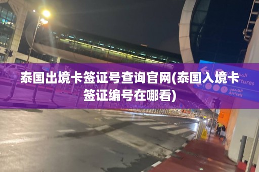 泰国出境卡签证号查询官网(泰国入境卡签证编号在哪看)