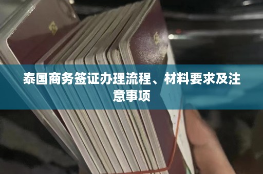 泰国商务签证办理流程、材料要求及注意事项  第1张