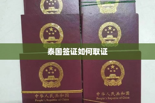 泰国签证如何取证  第1张