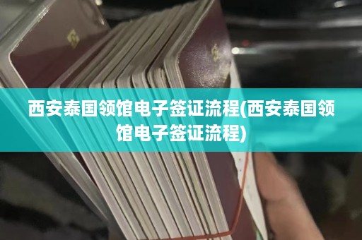 西安泰国领馆电子签证流程(西安泰国领馆电子签证流程)