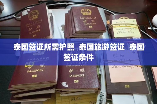 泰国签证所需护照  泰国旅游签证 泰国签证条件 第1张