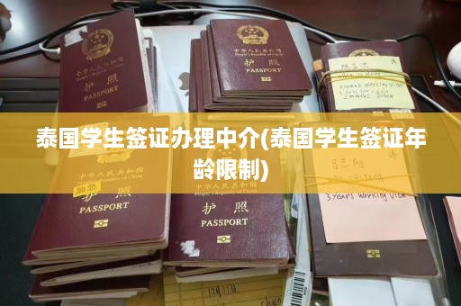 泰国学生签证办理中介(泰国学生签证年龄限制)