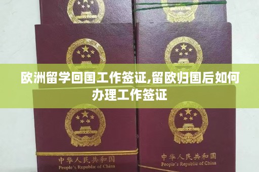 欧洲留学回国工作签证,留欧归国后如何办理工作签证