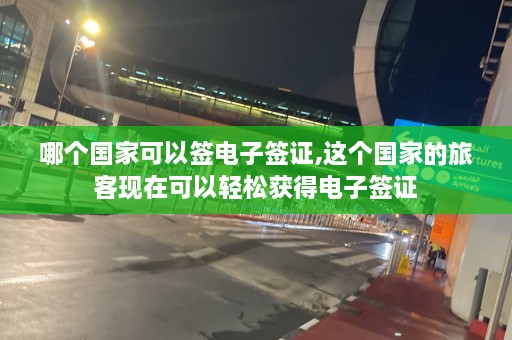 哪个国家可以签电子签证,这个国家的旅客现在可以轻松获得电子签证