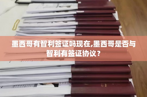 墨西哥有智利签证吗现在,墨西哥是否与智利有签证协议？