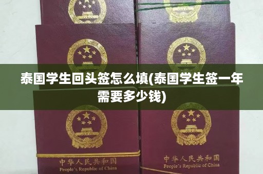 泰国学生回头签怎么填(泰国学生签一年需要多少钱)