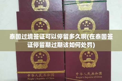 泰国过境签证可以停留多久啊(在泰国签证停留期过期该如何处罚)