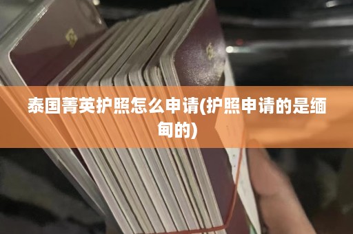 泰国菁英护照怎么申请(护照申请的是缅甸的)  第1张