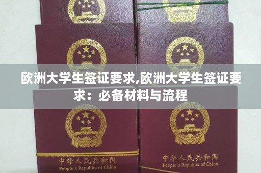 欧洲大学生签证要求,欧洲大学生签证要求：必备材料与流程  第1张