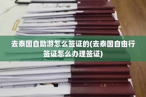 去泰国自助游怎么签证的(去泰国自由行签证怎么办理签证)  第1张