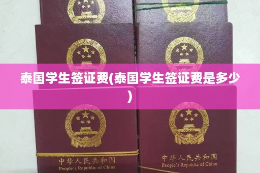 泰国学生签证费(泰国学生签证费是多少)  第1张