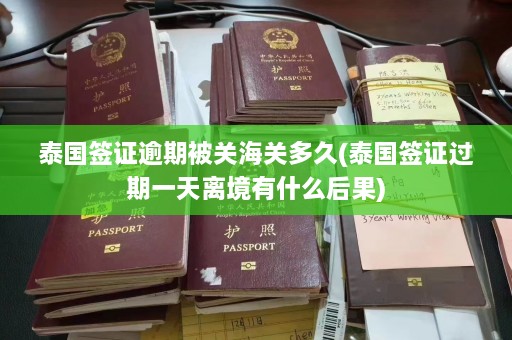 泰国签证逾期被关海关多久(泰国签证过期一天离境有什么后果)  第1张