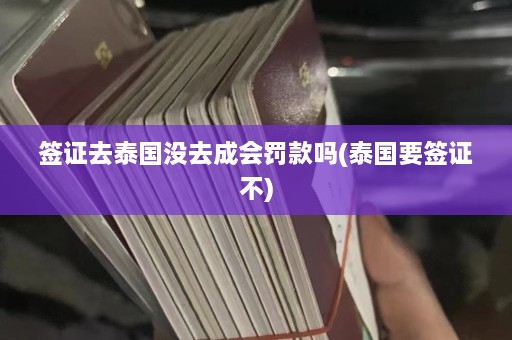 签证去泰国没去成会罚款吗(泰国要签证不)  第1张