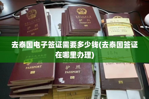 去泰国电子签证需要多少钱(去泰国签证在哪里办理)  第1张