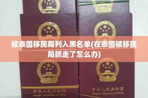 被泰国移民局列入黑名单(在泰国被移民局抓走了怎么办)  第1张