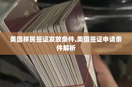 美国移民签证发放条件,美国签证申请条件解析  第1张