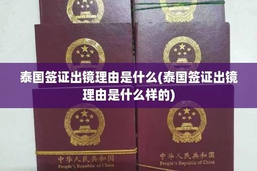 泰国签证出镜理由是什么(泰国签证出镜理由是什么样的)