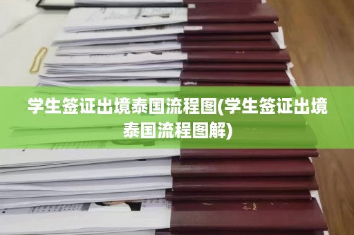 学生签证出境泰国流程图(学生签证出境泰国流程图解)  第1张