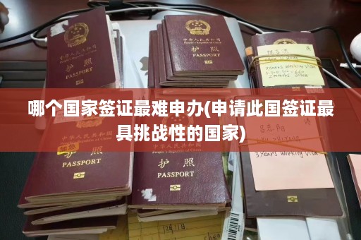 哪个国家签证最难申办(申请此国签证更具挑战性的国家)  第1张