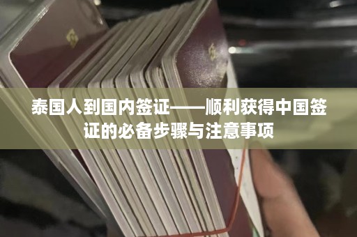 泰国人到国内签证——顺利获得中国签证的必备步骤与注意事项  第1张