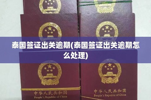 泰国签证出关逾期(泰国签证出关逾期怎么处理)  第1张