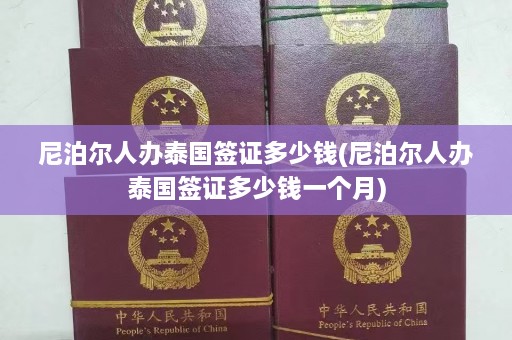 尼泊尔人办泰国签证多少钱(尼泊尔人办泰国签证多少钱一个月)