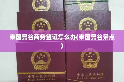 泰国曼谷商务签证怎么办(泰国曼谷景点)  第1张