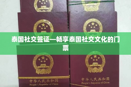 泰国社交签证—畅享泰国社交文化的门票