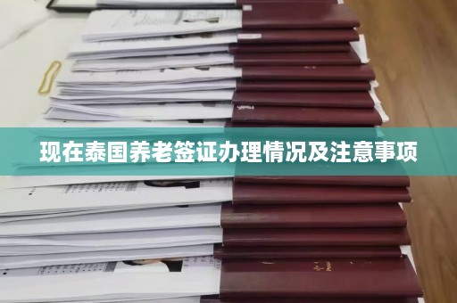 现在泰国养老签证办理情况及注意事项  第1张